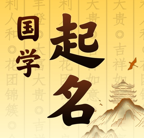 岳阳市国学起名 人工起名一对一