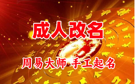 岳阳市成人改名-找大师一对一改名先分析后改名